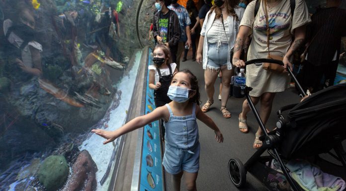 Why California is still in a state of emergency