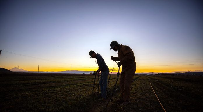 Supreme Court rules against union recruiting on California farms