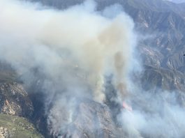 Willow Fire grows to 1,500 acres; evacuations in place