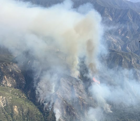 Willow Fire grows to 1,500 acres; evacuations in place