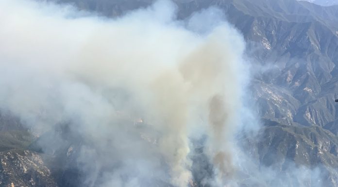 Willow Fire grows to 1,500 acres; evacuations in place