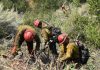 Willow Fire holds steady at nearly 2,400 acres