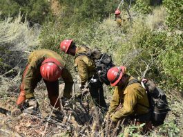 Monterey County lifts, modifies Willow Fire evacuation warnings and orders