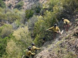 Monterey County lifts all evacuation orders for Willow Fire