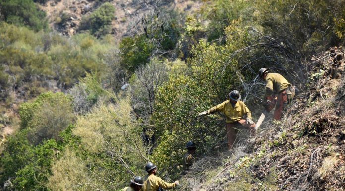 Monterey County lifts all evacuation orders for Willow Fire