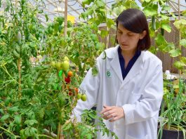 Women in agtech: Fatma Kaplan