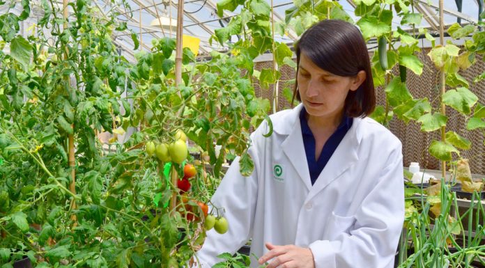 Women in agtech: Fatma Kaplan