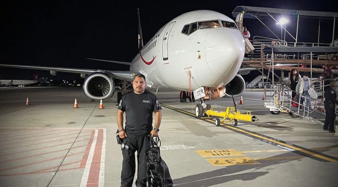 Soledad Police K-9s assist Homeland Security