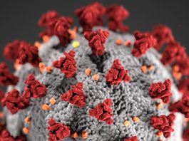 Covid-19 cases rising again in Monterey County