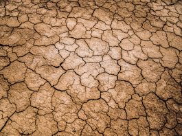 Governor expands drought emergency to Monterey County