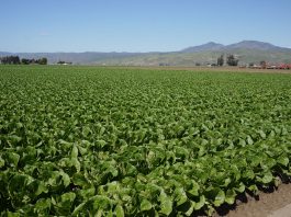 Greenfield High receives Farm to School grant