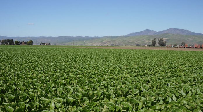 Greenfield High receives Farm to School grant