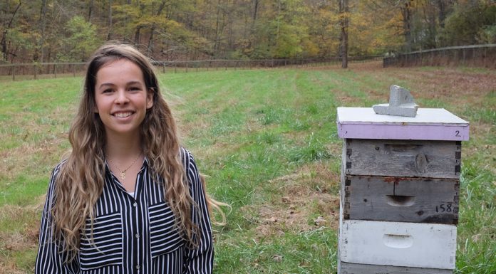 Women in agtech: Ellie Symes