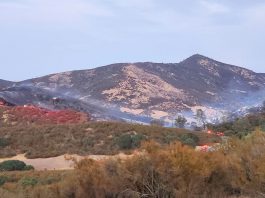Fast action stops fire near Pinnacles, east of Soledad