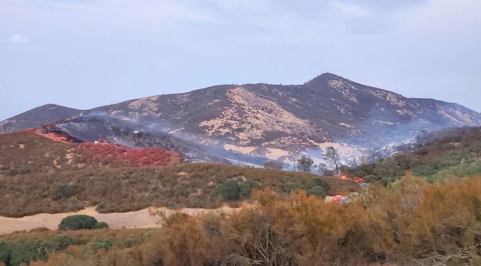 Fast action stops fire near Pinnacles, east of Soledad