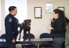 Soledad police canine officially swears in