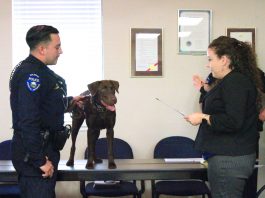 Soledad police canine officially swears in