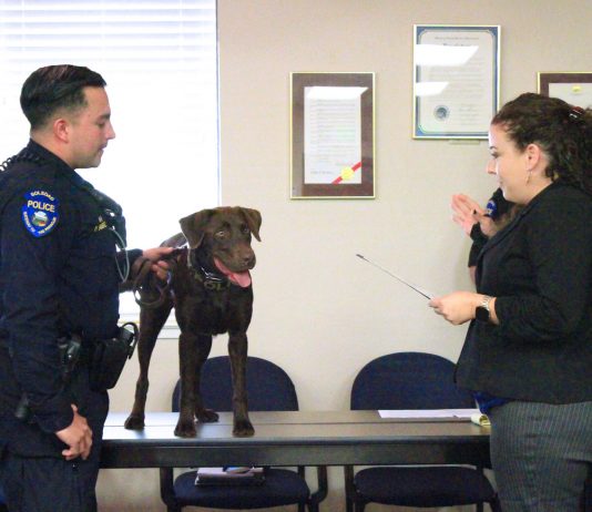 Soledad police canine officially swears in