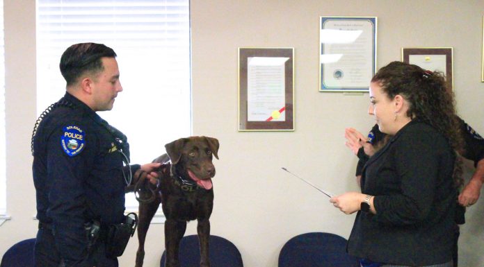 Soledad police canine officially swears in
