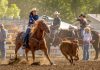 California Rodeo Salinas returns this week with new ambassador, roping events