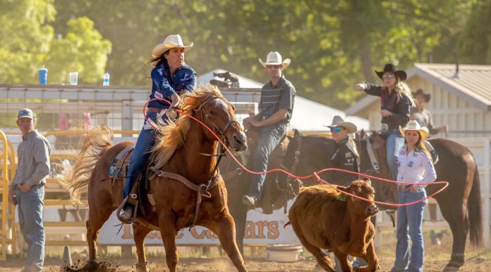 California Rodeo Salinas returns this week with new ambassador, roping events
