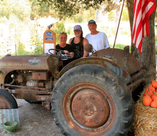 Flora’s Farm in Greenfield celebrates seven years