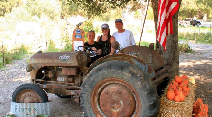 Flora’s Farm in Greenfield celebrates seven years