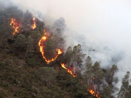 Monterey County officials offer advice in how to prepare for fire emergencies