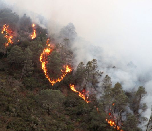 Monterey County officials offer advice in how to prepare for fire emergencies