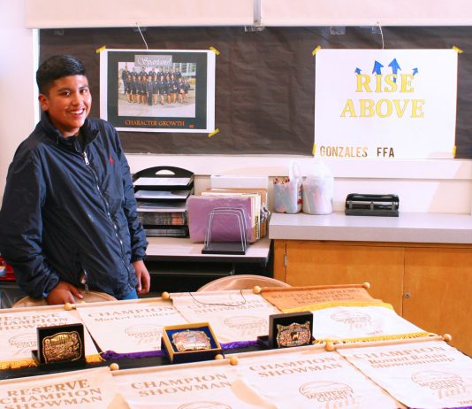 Gonzales FFA student earns champion honors