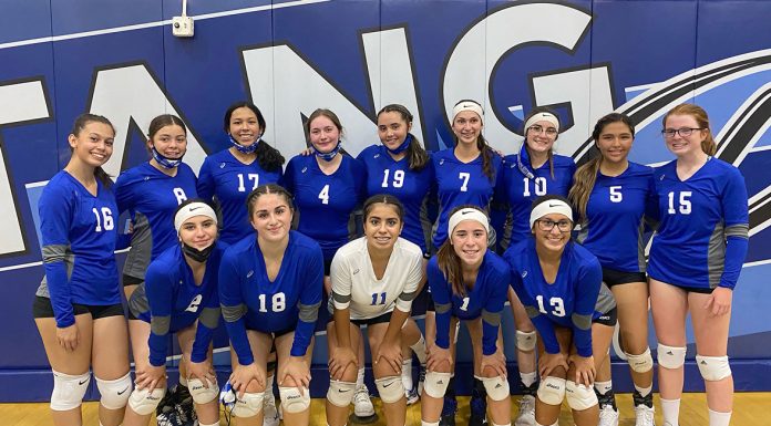 Volleyball | South Monterey County teams spring into action