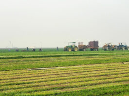 Newsom signs bill to protect farmworkers from wildfire smoke