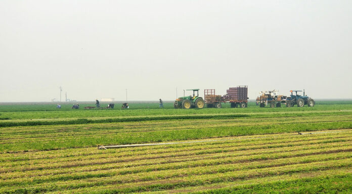 Newsom signs bill to protect farmworkers from wildfire smoke