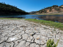 As drought conditions worsen, California expands state of emergency