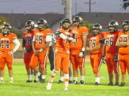 Football | Spartans fall to Knights, 14-6