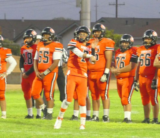 Football | Spartans fall to Knights, 14-6