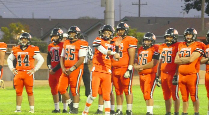 Football | Spartans fall to Knights, 14-6