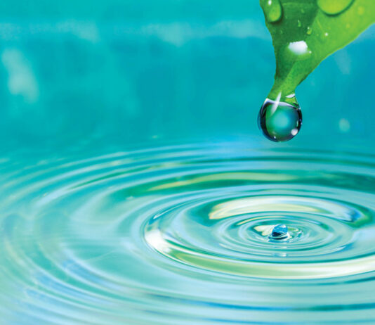 Public input sought on Salinas Valley Subbasin Groundwater Sustainability Plans