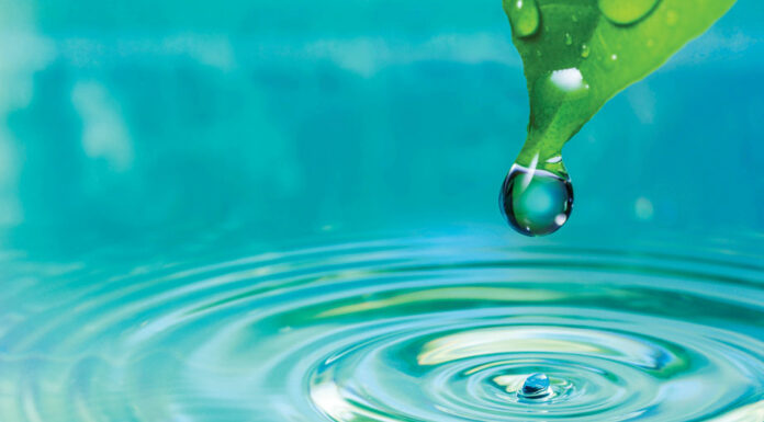 Public input sought on Salinas Valley Subbasin Groundwater Sustainability Plans