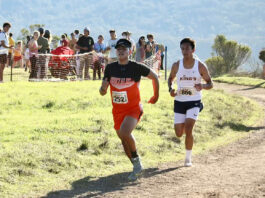 Cross Country | South Monterey County runners finish season