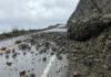 Big Sur coastal highway remains closed for emergency repairs