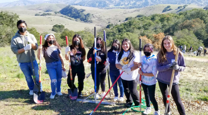 Monterey County Rotary Clubs help plant habitat gardens for monarch butterflies