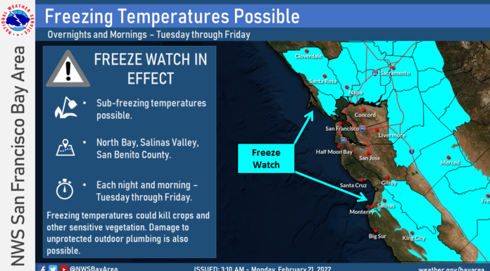 Freeze watch in effect from Tuesday night to Friday