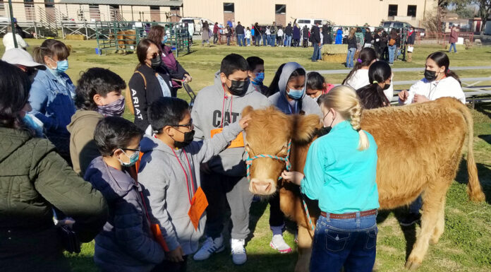 South County Farm Day returns to Salinas Valley Fairgrounds