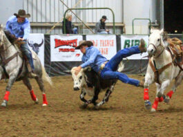 Stampede draws 1,000-plus crowd to Salinas Valley Fairgrounds