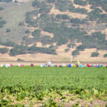 Image for display with article titled Farmworker Resource Center Set for Greenfield