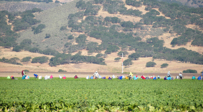 Farmworker resource center set for Greenfield