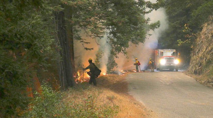 Man found guilty of starting Dolan Fire, causing condor deaths