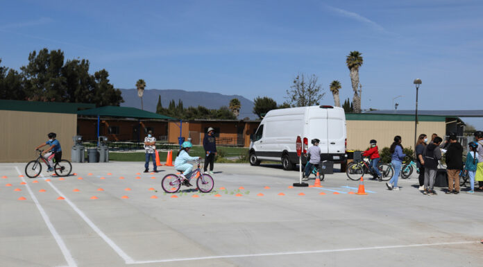 Greenfield school hosts festival for healthy living