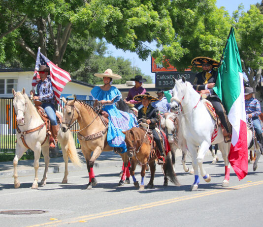 Photos | Gonzales celebrates Cinco de Mayo with festival